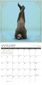 Sloth Yoga Calendar by Willow Creek Press