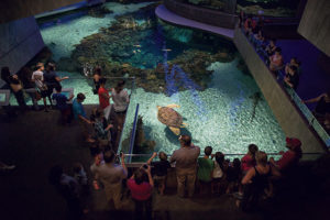 National Aquarium interior image 