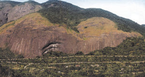 Kikkerland products help with MilFolhas Brazil reforestation
